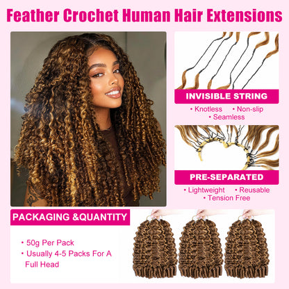 Pre-Separated Burmese Curly Highlight P4/27 Color 