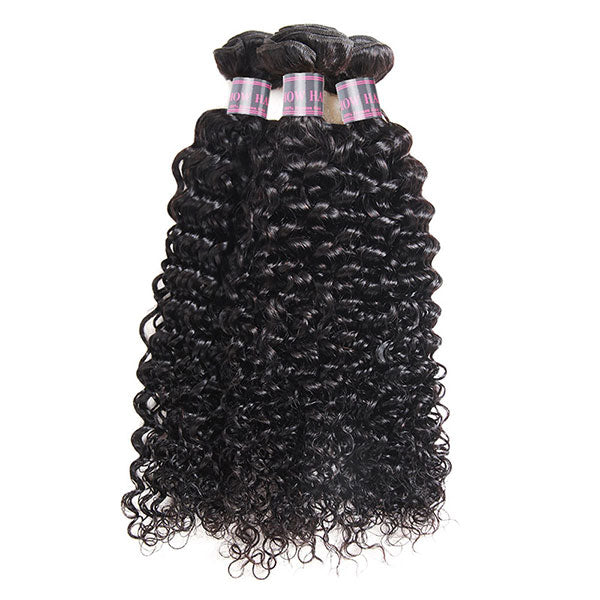 Curly Wave Virgin Hair 3 Bundles Human Hair With Lace Closure Buy 3 Get 1 Free